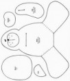 /album/ursos1/tutorial-de-como-fazer-urso-de-tecido-com-moldes-6-jpg/